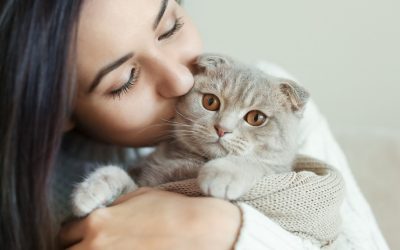 Test para saber si tu gato te quiere
